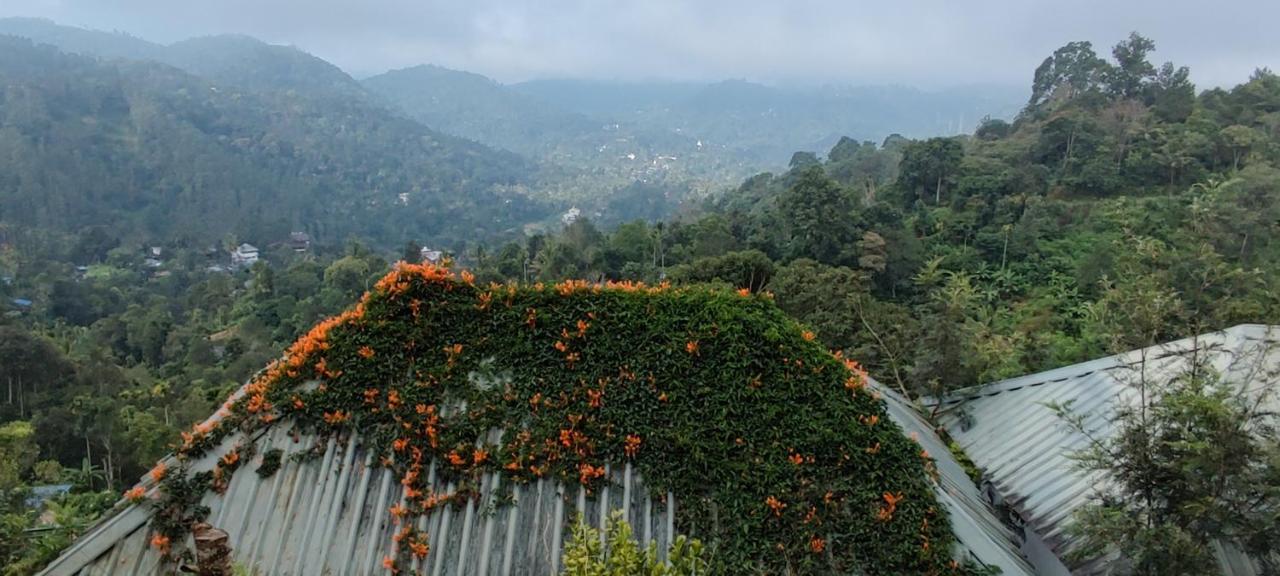 Munnar Tea Hills Resort - Mthr Екстериор снимка